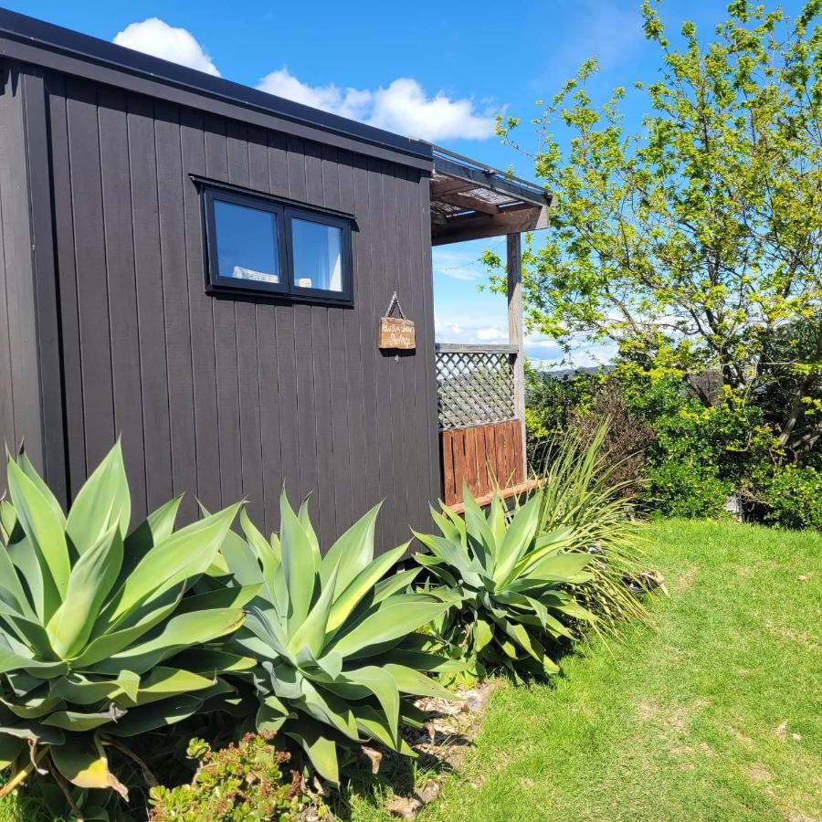 Wild Days Accommodation Palm Beach Luaran gambar